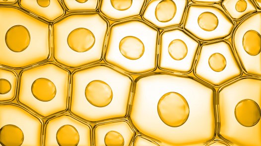 Bioderma produkti ciena ādas ekosistēmu un saglabā tās veselību